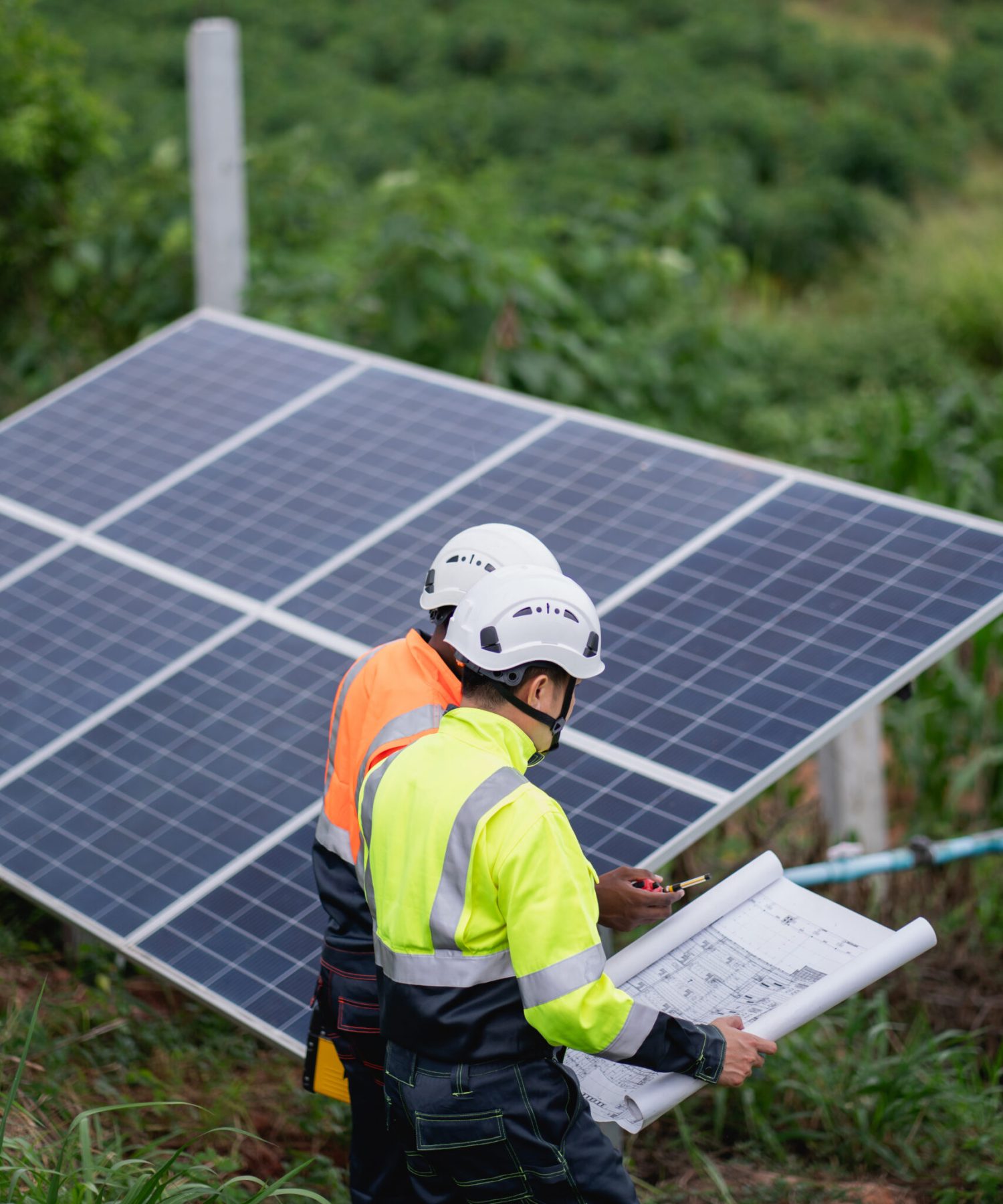 Service engineer inspects and maintains solar panels in a cultivation area, promoting clean energy.